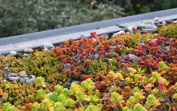 the cost of Halton Shields green roof installation