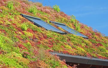 Halton Shields living roof systems