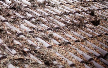 Halton Shields roof cleaning companies