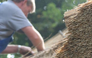 professional Halton Shields thatchers